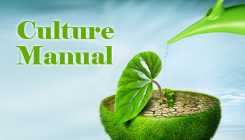 �Ļ��փ�(c��)